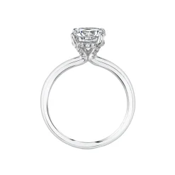 Josephs Jewelers Engagement Rings>Platinum Round Cut Solitaire Engagement Ring – Joanna